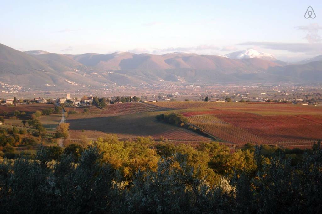 Ciards House Apartment Montefalco Bagian luar foto